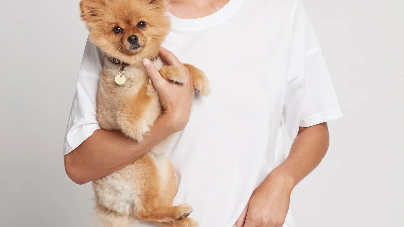 Pets in the Bedroom: A Vet Weighs In