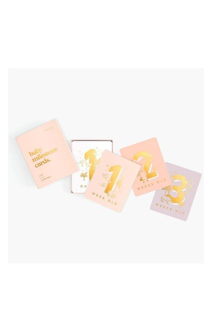 Baby Milestone Cards Fox and Fallow Blush | Homebodii